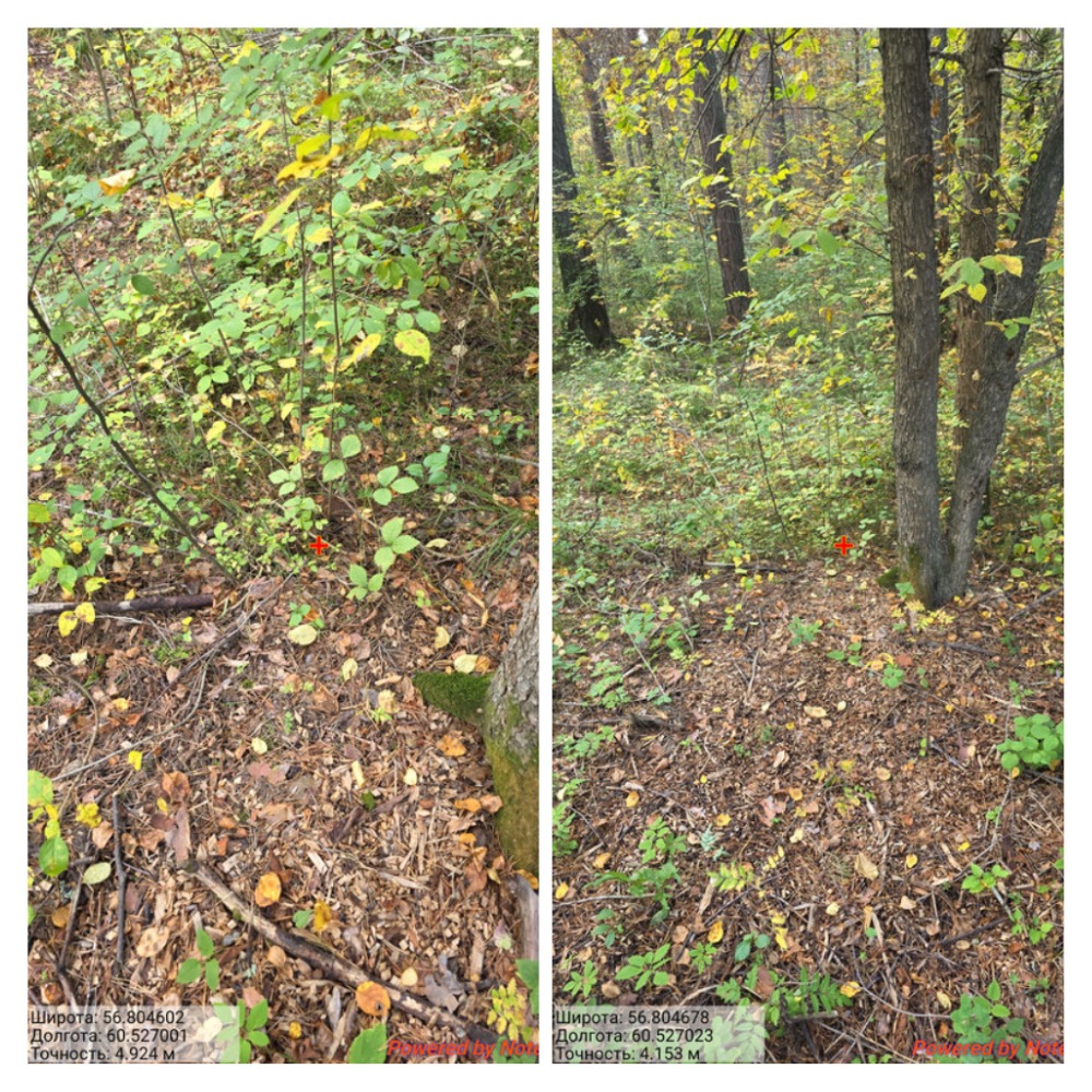 Правильный вариант